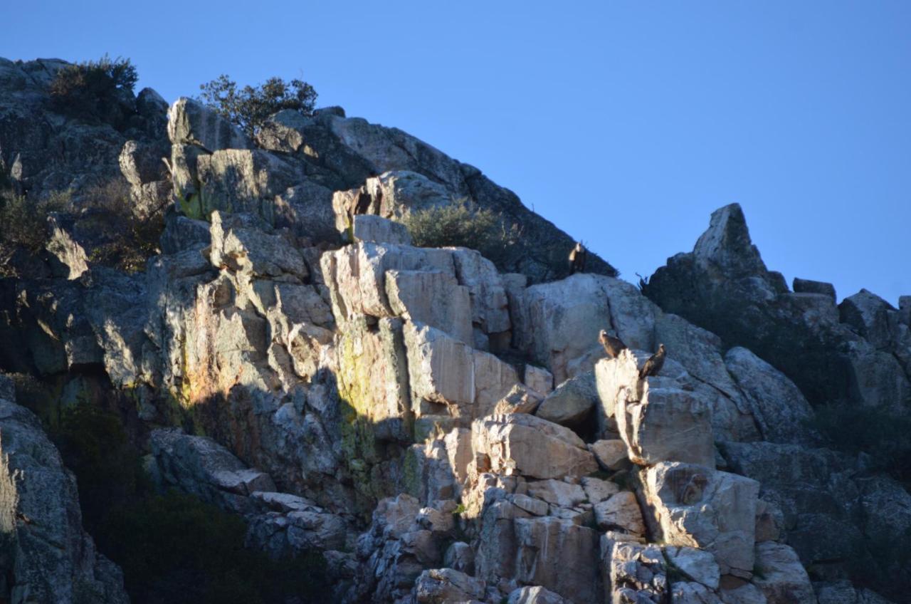 Alojamiento La Canada Monfrague Torrejón el Rubio Zewnętrze zdjęcie